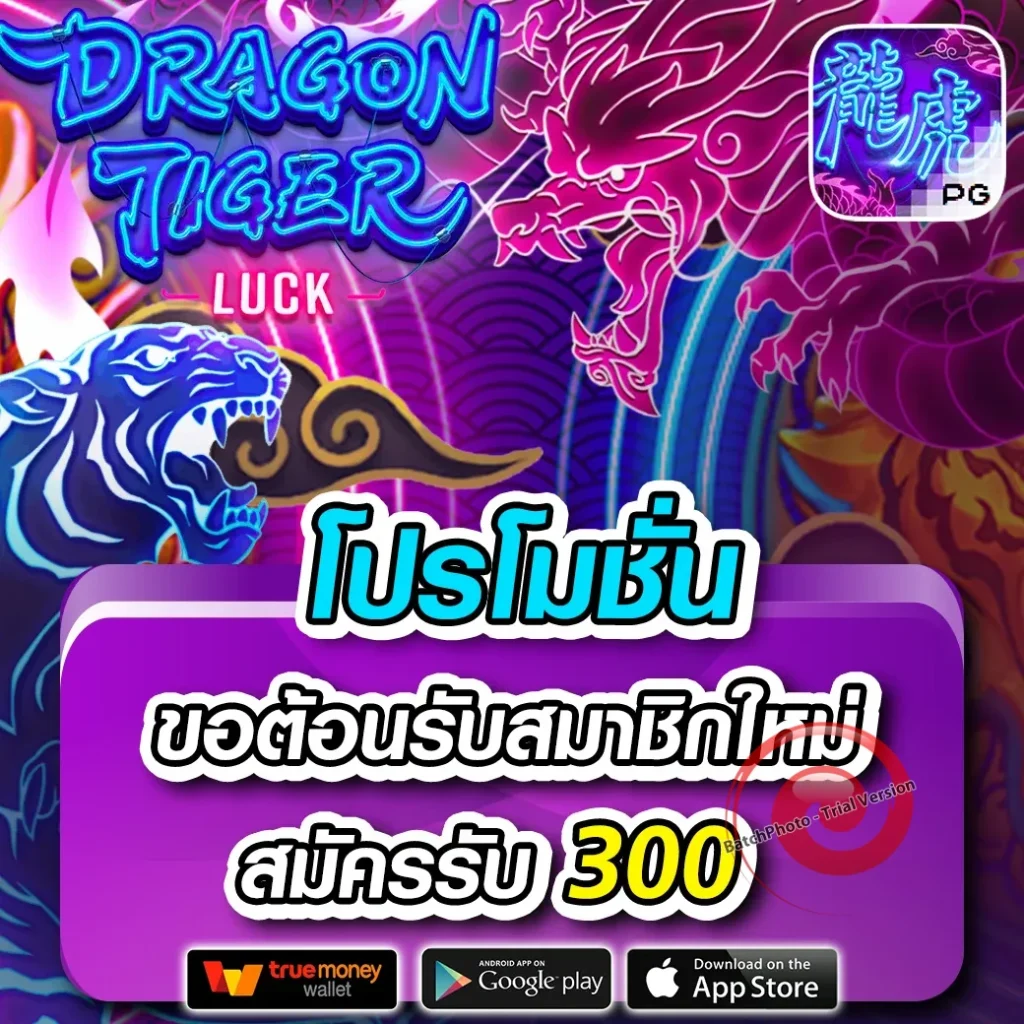 เว็บใหม่ potak-88